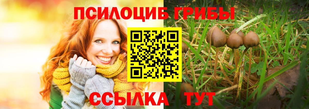 Галлюциногенные грибы мицелий  Вход с VPN  Избербаш  Галлюциногенные грибы мухоморы 